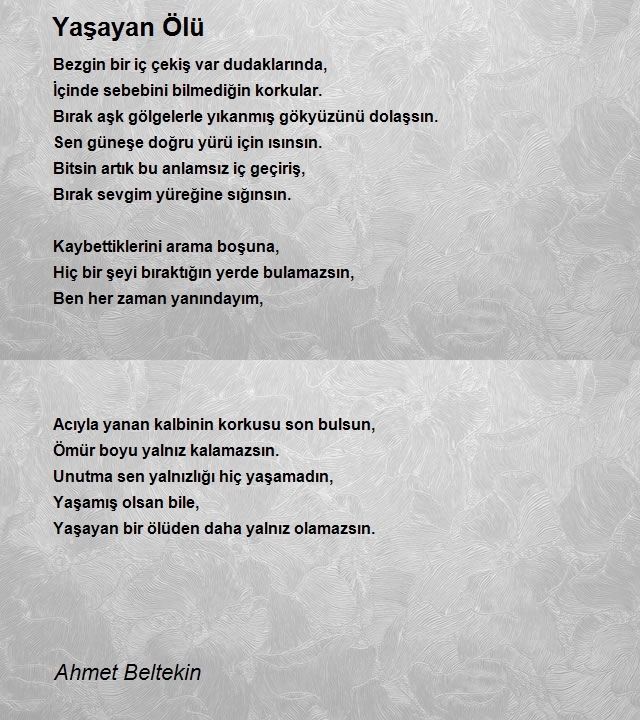 Ahmet Beltekin