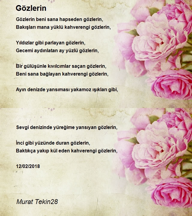 Murat Tekin28