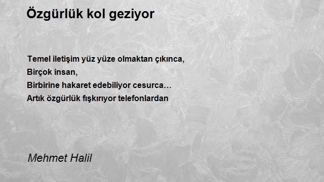 Mehmet Halil