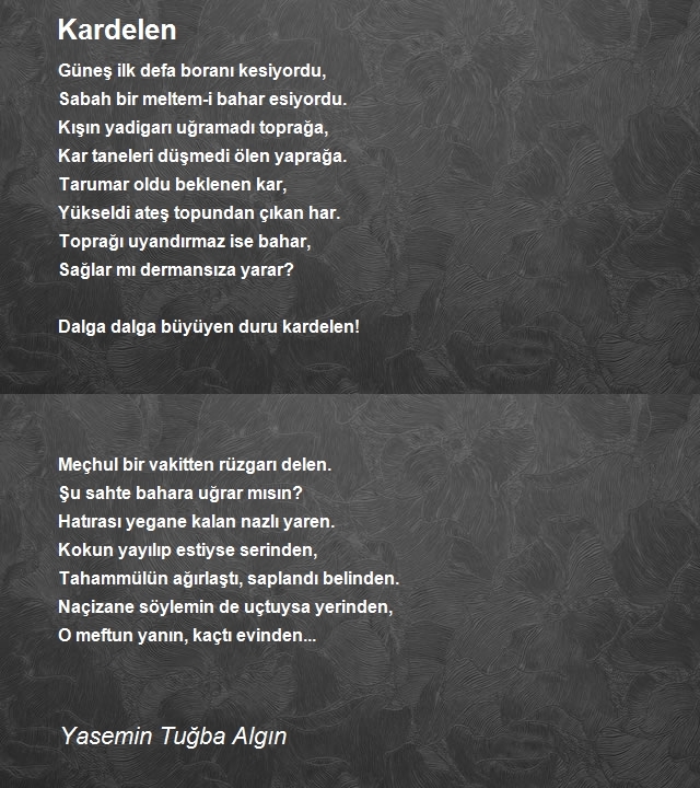 Yasemin Tuğba Algın