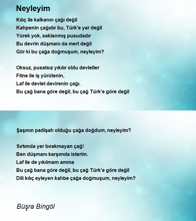 Büşra Bingöl