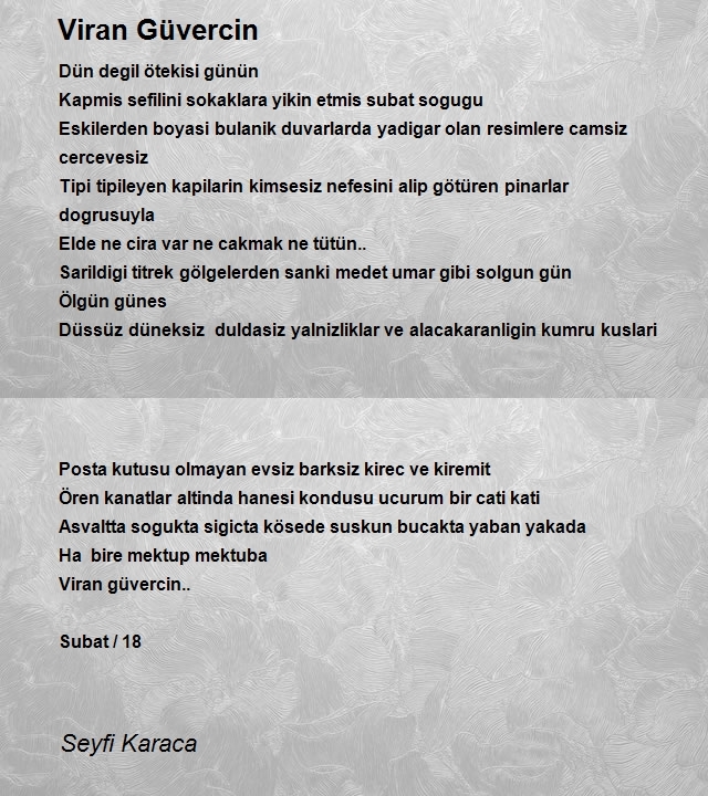 Seyfi Karaca