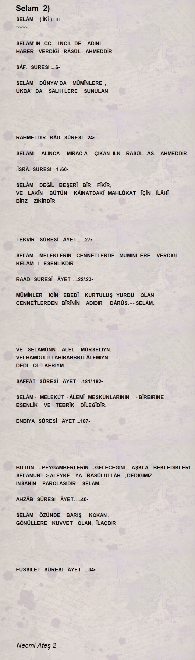 Necmi Ateş 2