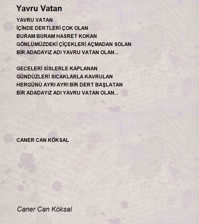 Caner Can Köksal