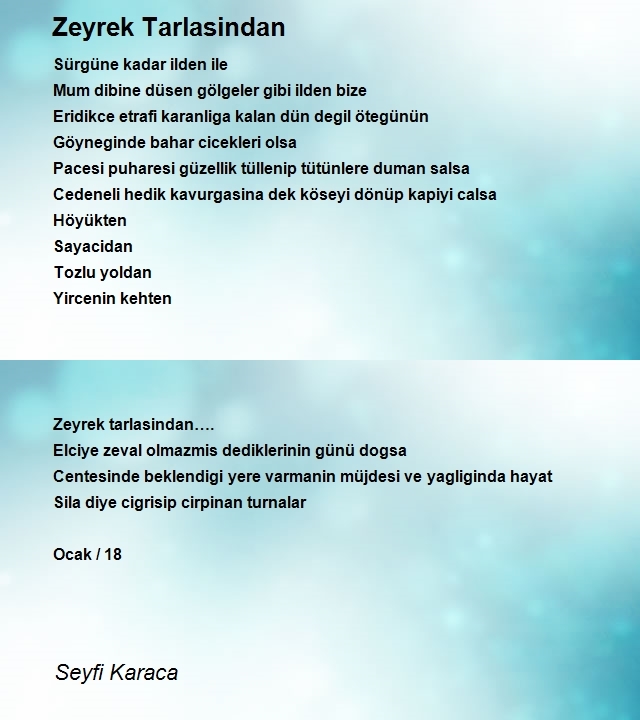 Seyfi Karaca