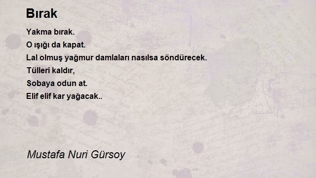 Mustafa Nuri Gürsoy