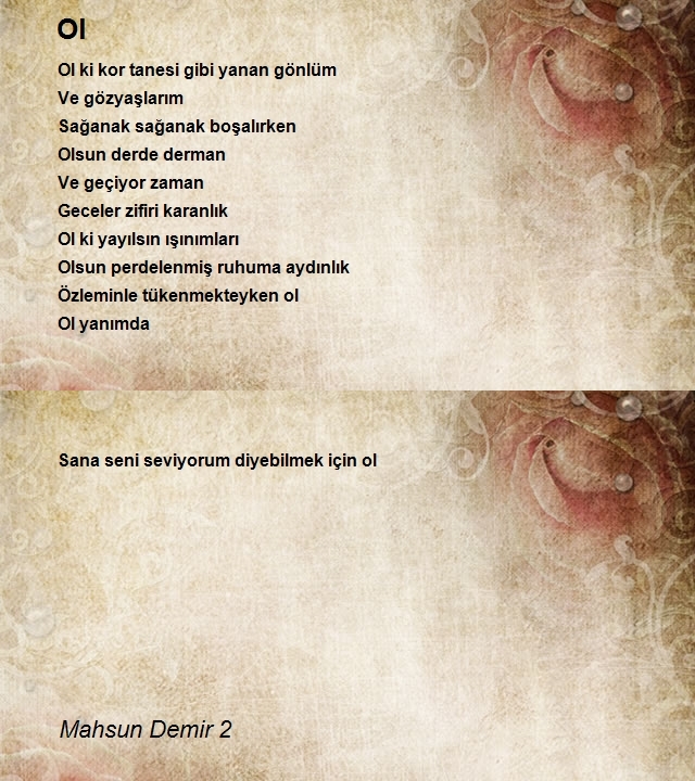 Mahsun Demir 2