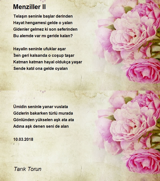 Tarık Torun