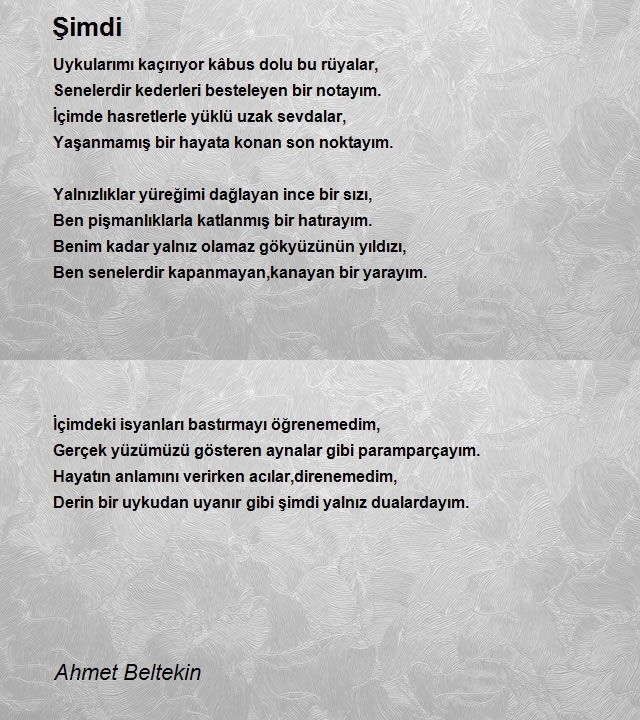 Ahmet Beltekin