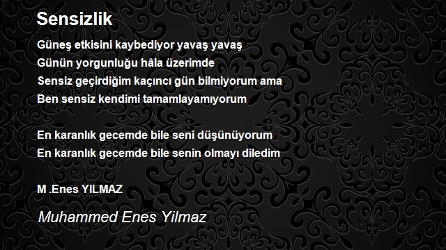 Muhammed Enes Yilmaz