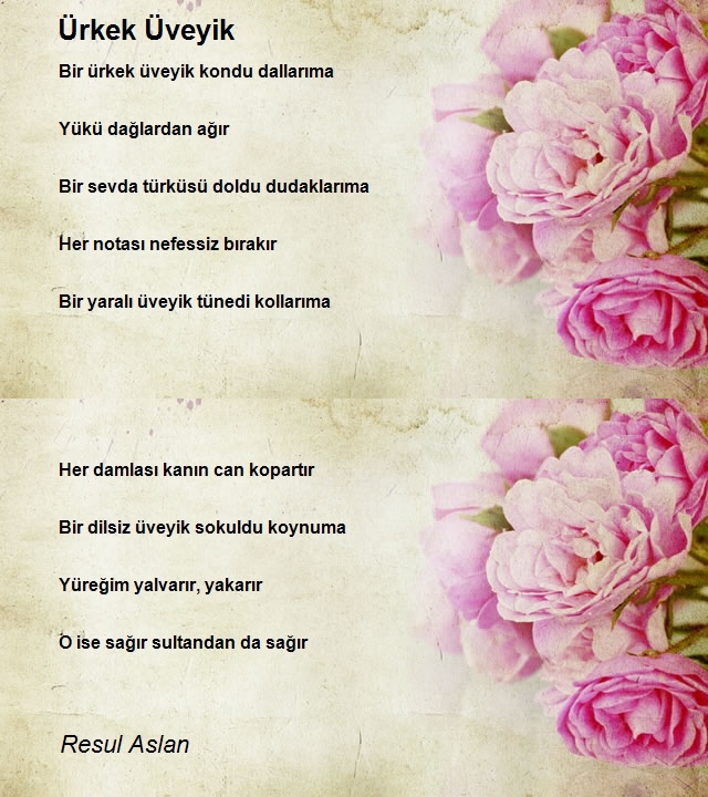 Resul Aslan