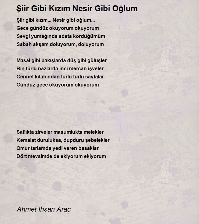 Ahmet Ihsan Arac