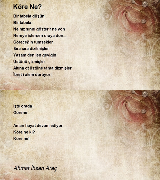 Ahmet Ihsan Arac