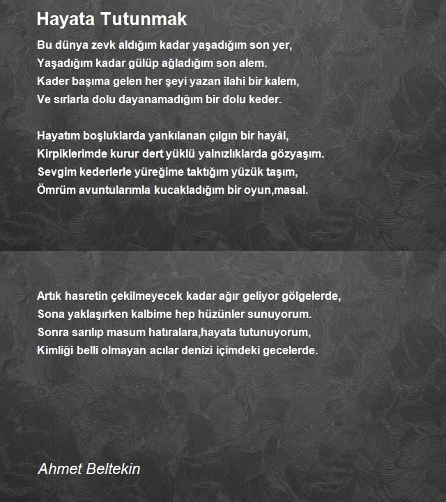 Ahmet Beltekin