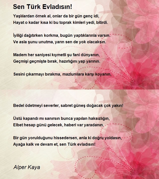 Alper Kaya