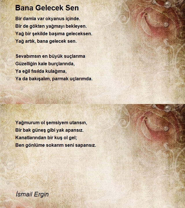 İsmail Ergin