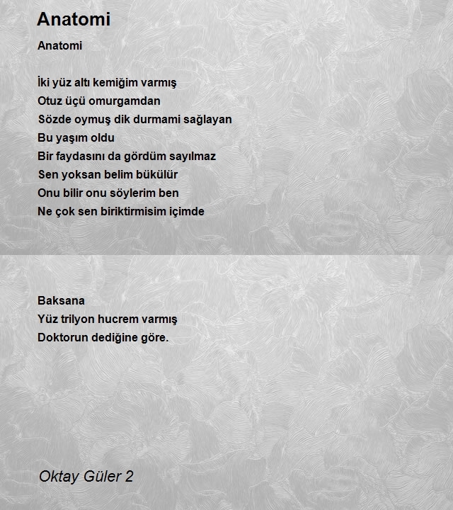 Oktay Güler 2