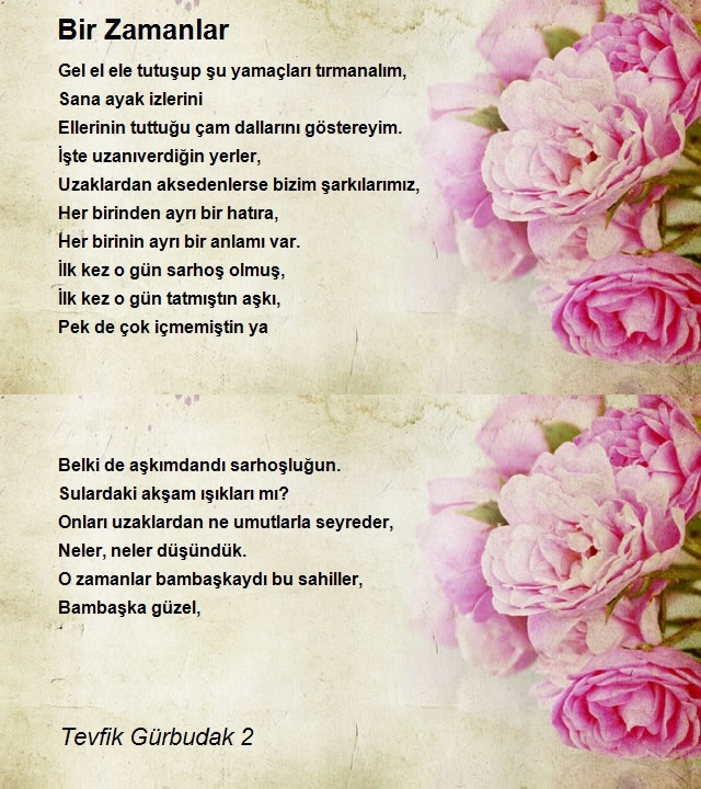 Tevfik Gürbudak 2