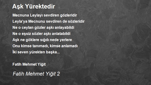 Fatih Mehmet Yiğit 2