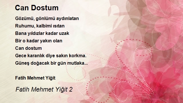 Fatih Mehmet Yiğit 2