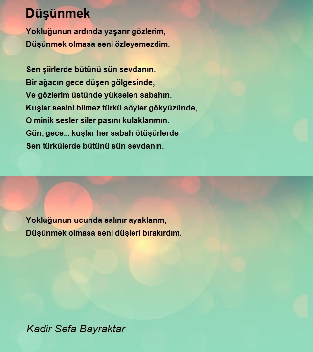 Kadir Sefa Bayraktar