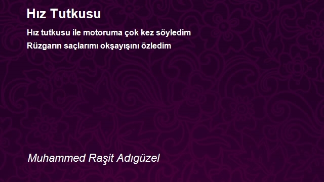 Muhammed Raşit Adıgüzel