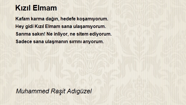 Muhammed Raşit Adıgüzel