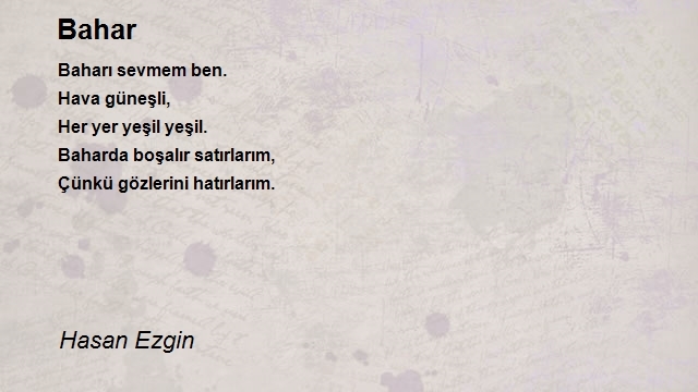 Hasan Ezgin