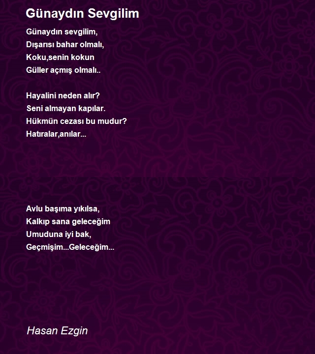 Hasan Ezgin