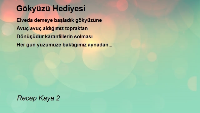 Recep Kaya 2