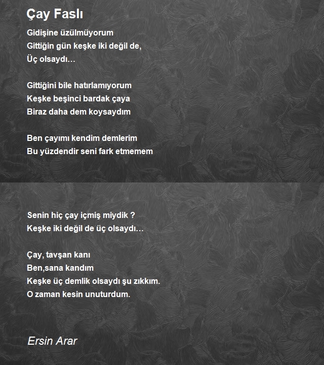 Ersin Arar