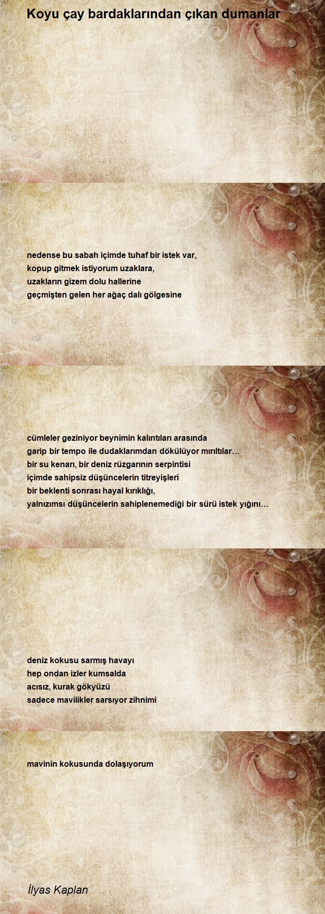 İlyas Kaplan