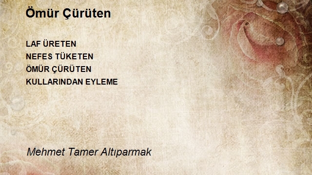 Mehmet Tamer Altıparmak