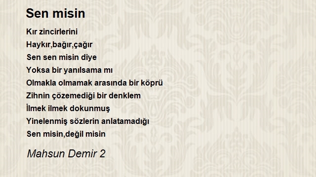 Mahsun Demir 2