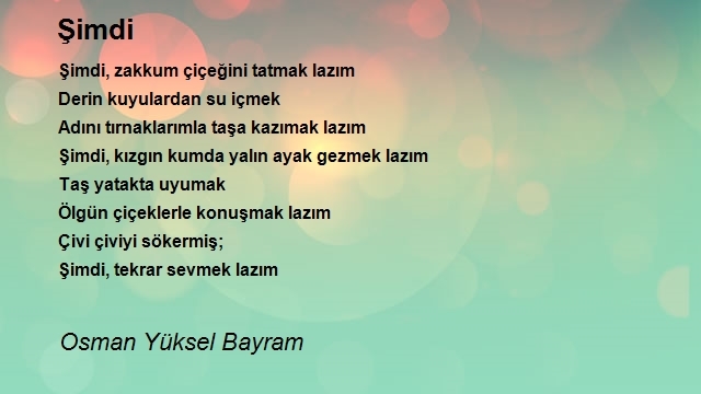 Osman Yüksel Bayram