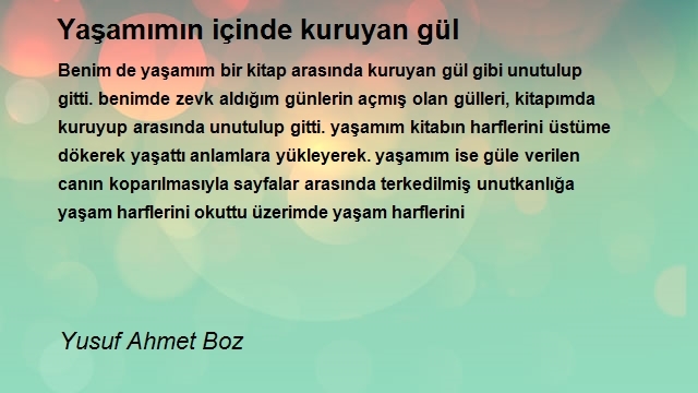 Yusuf Ahmet Boz