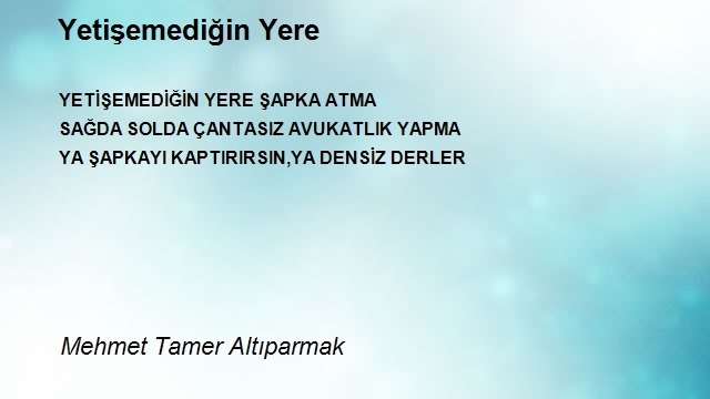 Mehmet Tamer Altıparmak