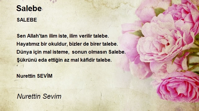 Nurettin Sevim