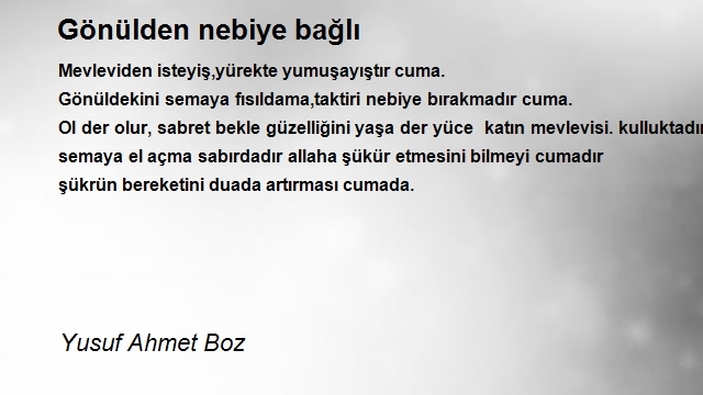 Yusuf Ahmet Boz