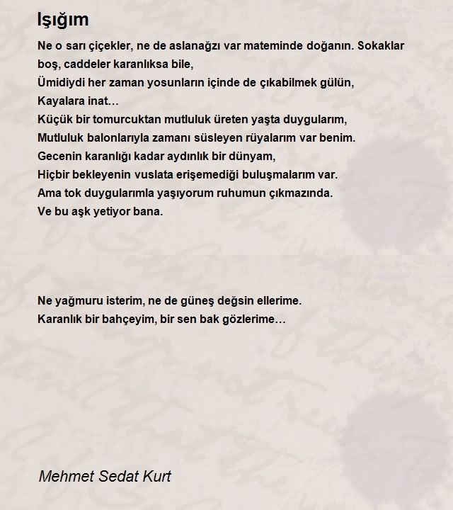 Mehmet Sedat Kurt