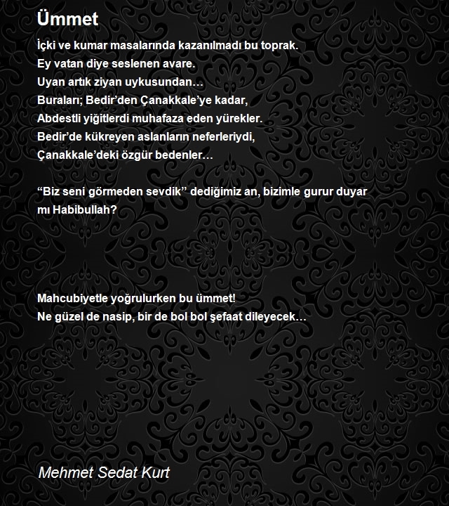 Mehmet Sedat Kurt