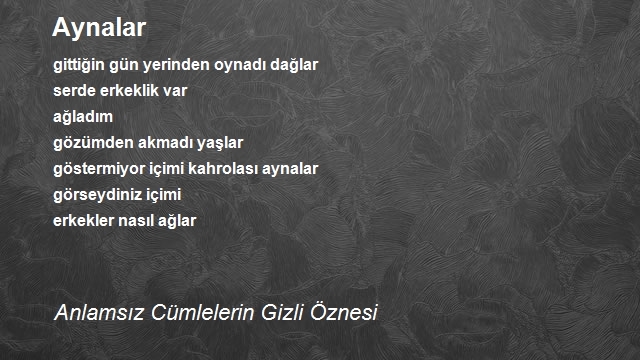 Anlamsız Cümlelerin Gizli Öznesi