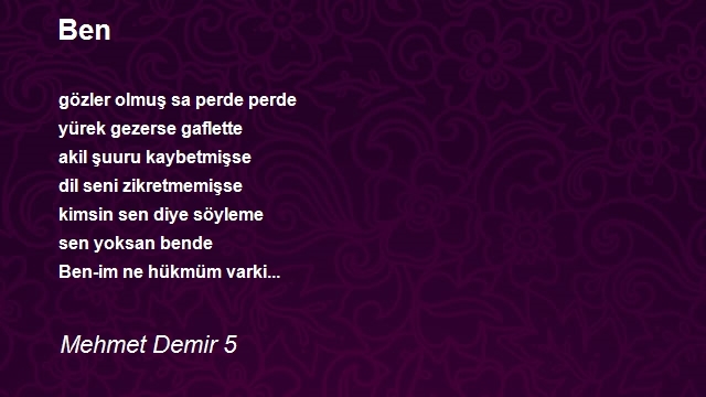 Mehmet Demir 5