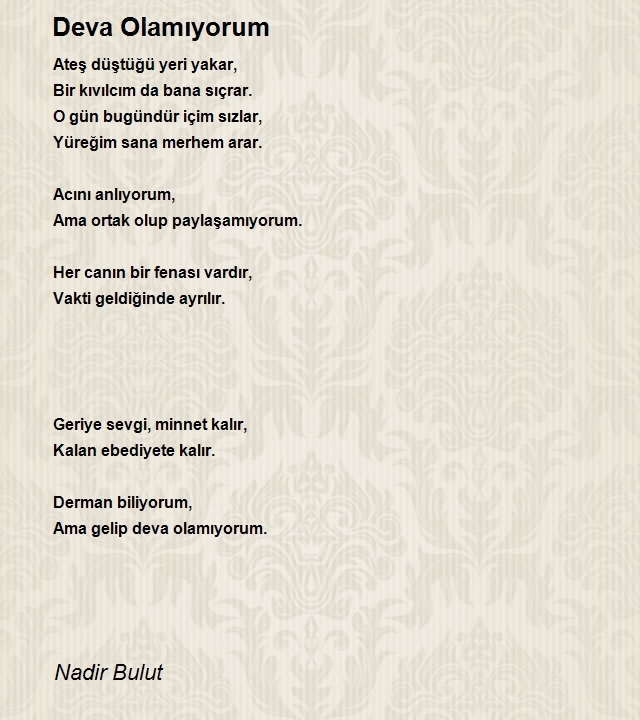 Nadir Bulut