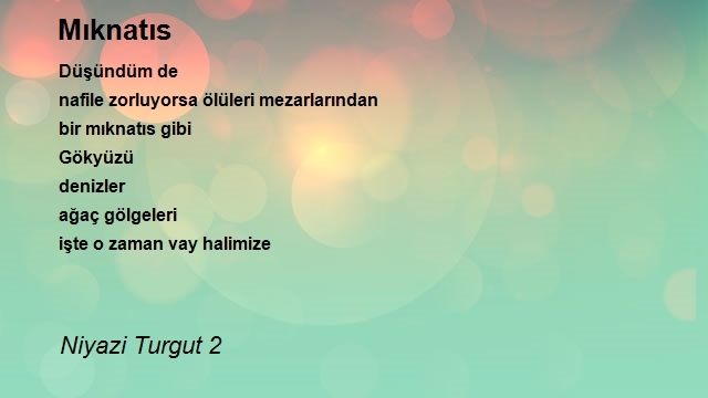 Niyazi Turgut 2