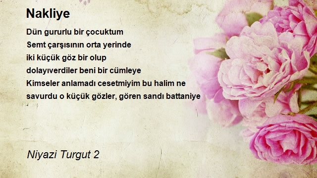 Niyazi Turgut 2