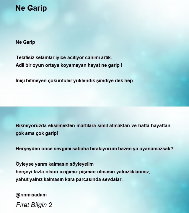 Fırat Bilgin 2