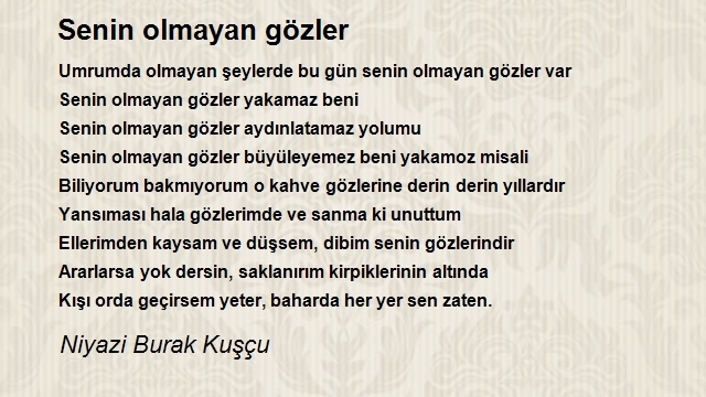 Niyazi Burak Kuşçu