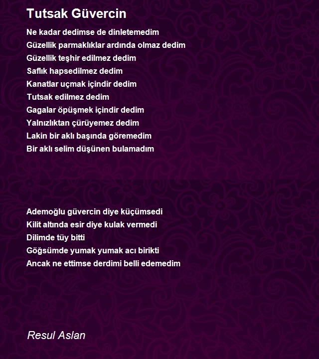 Resul Aslan