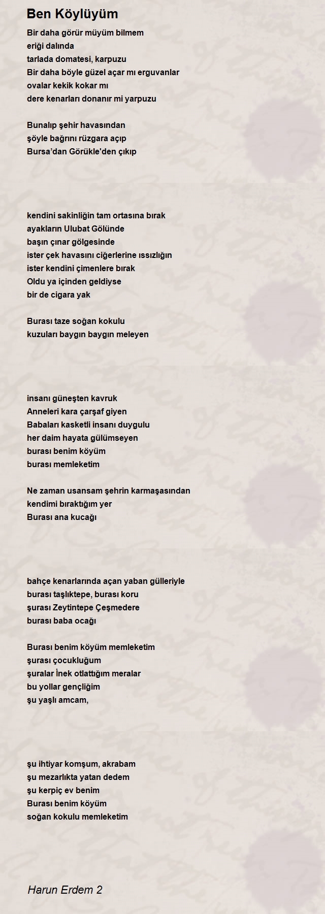 Harun Erdem 2